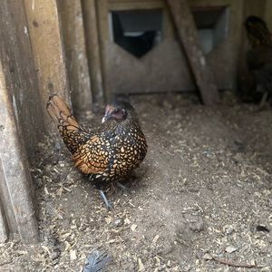 Check out my shop!!!